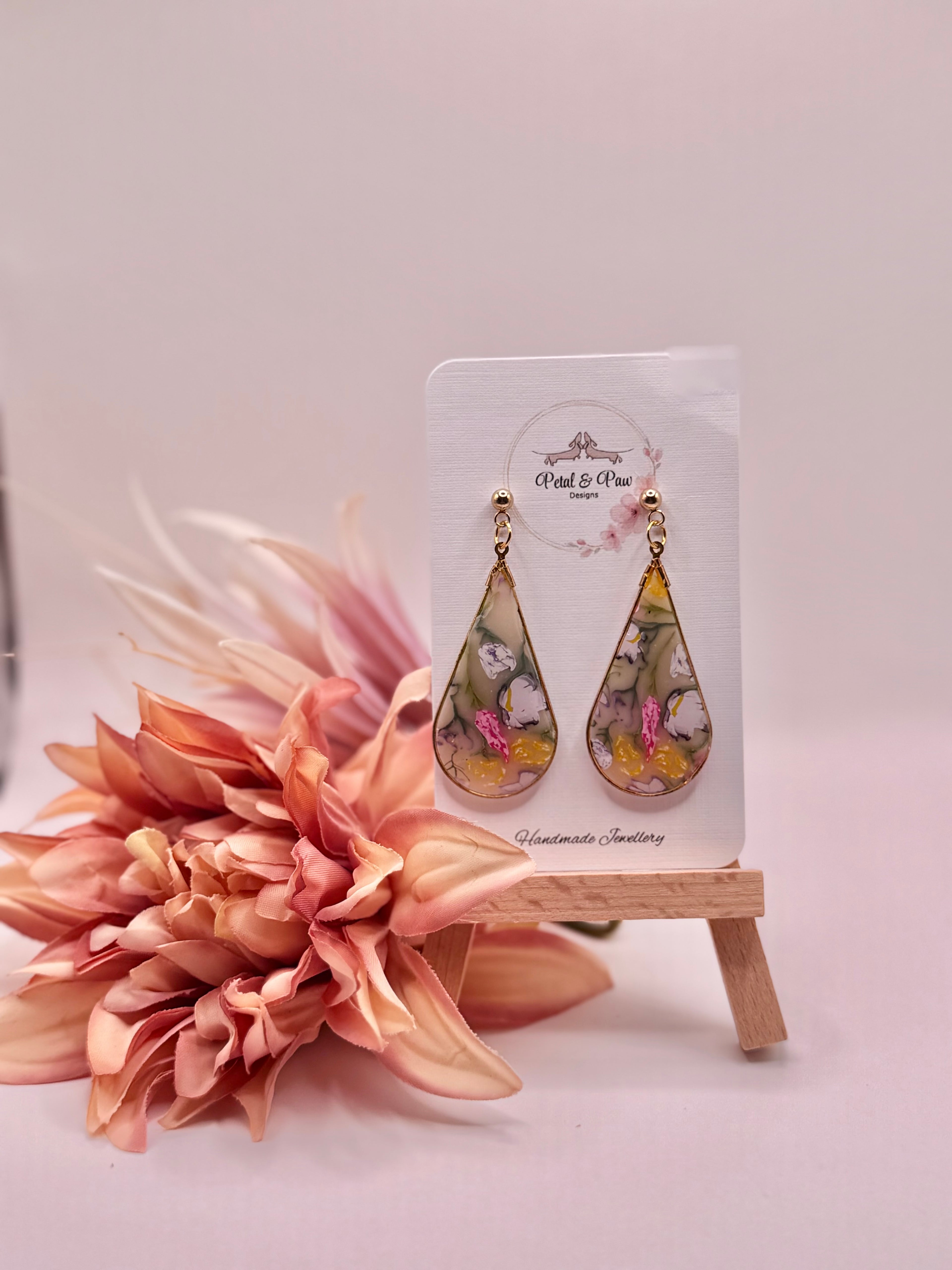 Cassia Collection